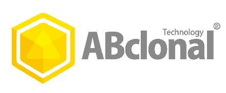 ABclonal Germany GmbH